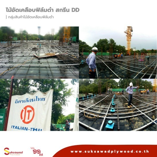 ขายส่งไม้อัดเคลือบฟิล์มดำ - บริษัท สุขสวัสดิ์ ไม้อัดไทย จำกัด - ไม้อัดเคลือบฟิล์มดำ สกรีน DD plus  ขายส่งไม้อัดเคลือบฟิล์มดำ 