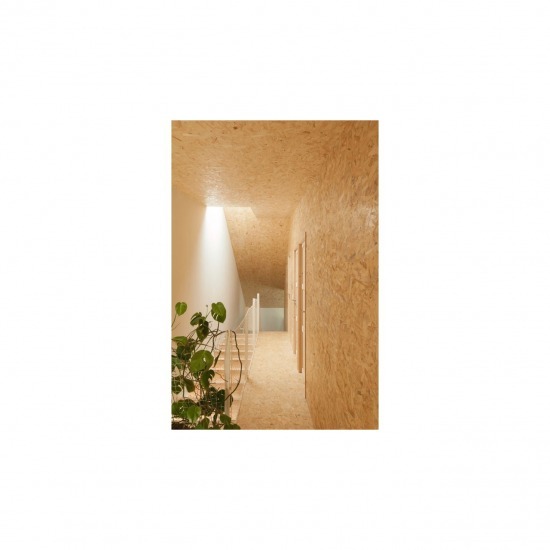 ไม้อัด OSB Eco - บริษัท สุขสวัสดิ์ ไม้อัดไทย จำกัด - ไม้อัด OSB ลานนา ไม้อัด osb   ไม้อัด osb ทนชื้น   ไม้อัด osb ราคา   ราคาไม้อัด osb   ไม้อัด osb ราคาถูก   Lanna OSB   ไม้อัดลานนา OSB 